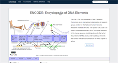Desktop Screenshot of encodeproject.org